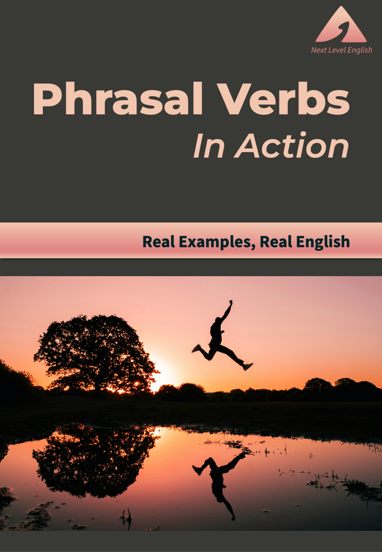 Phrasal Verbs in Action cover image